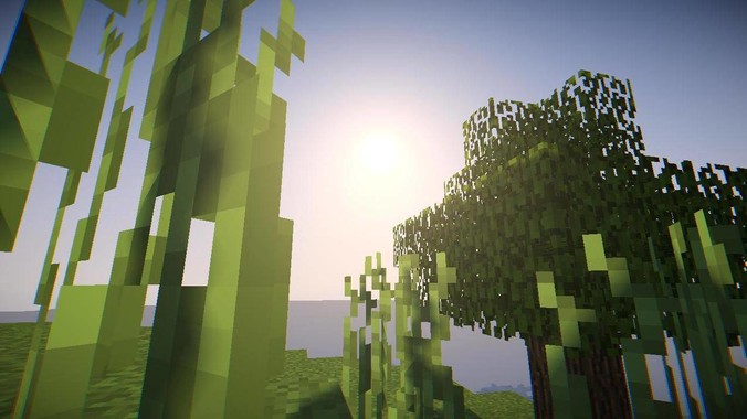 有什么是你去了上海才知道的事情？